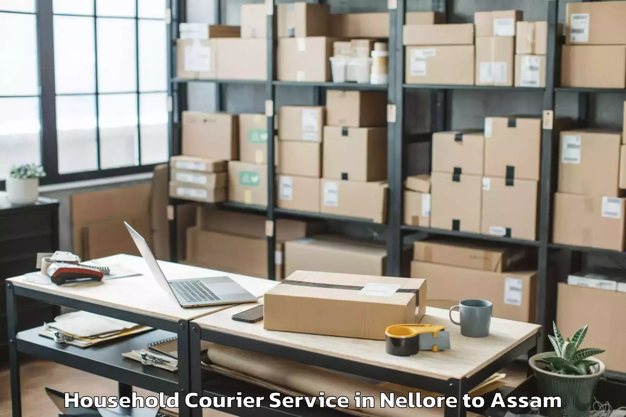 Easy Nellore to Kalaigaon Pt Household Courier Booking